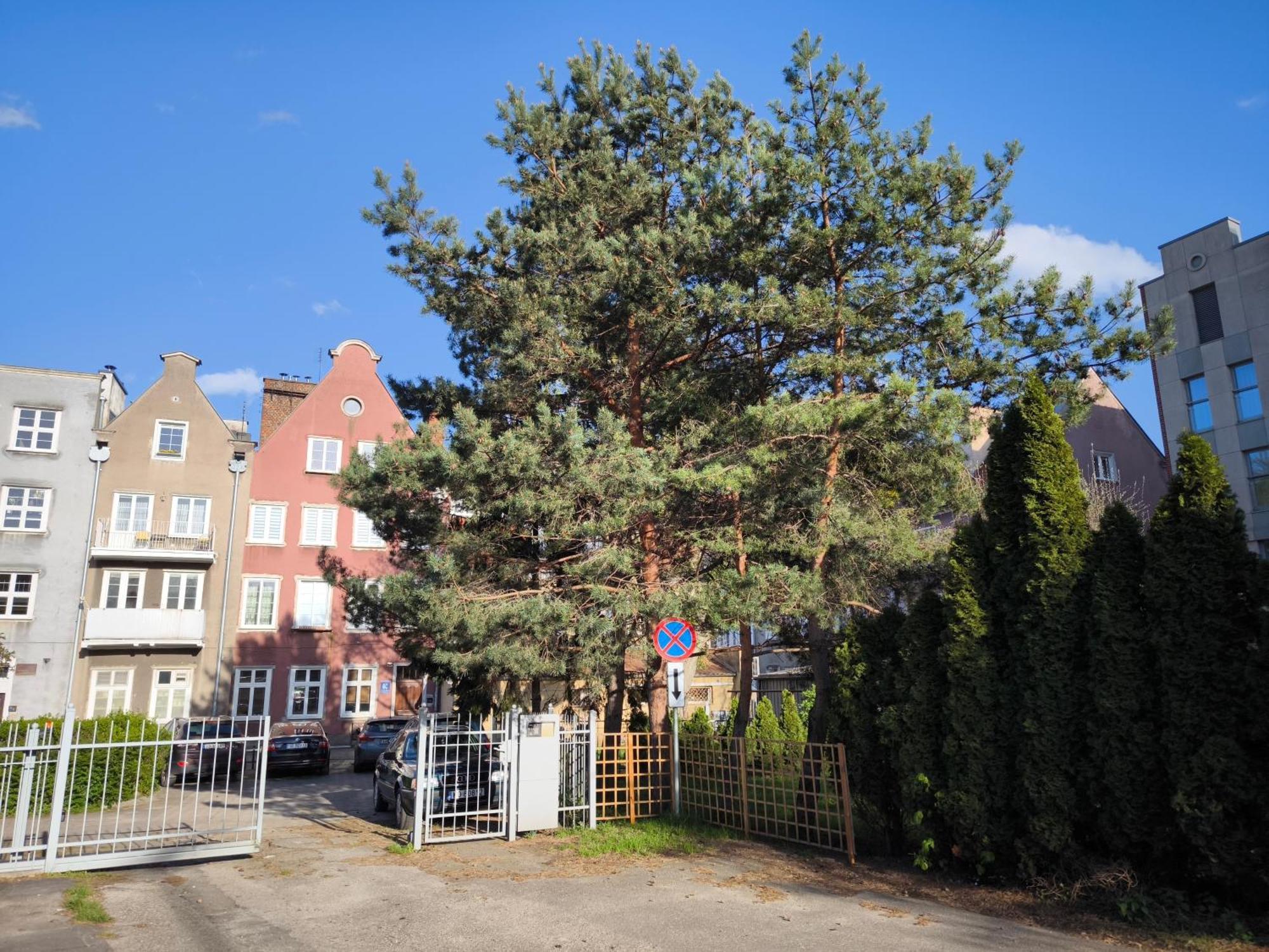 Central Apartments Fishmarkt & Parking — Photos 3